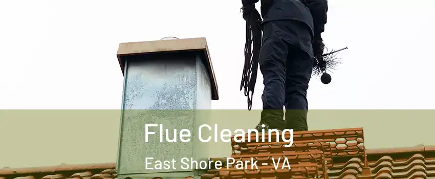 Flue Cleaning East Shore Park - VA