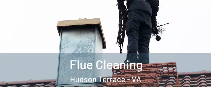 Flue Cleaning Hudson Terrace - VA