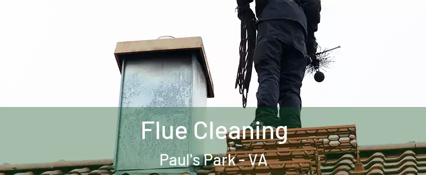 Flue Cleaning Paul's Park - VA