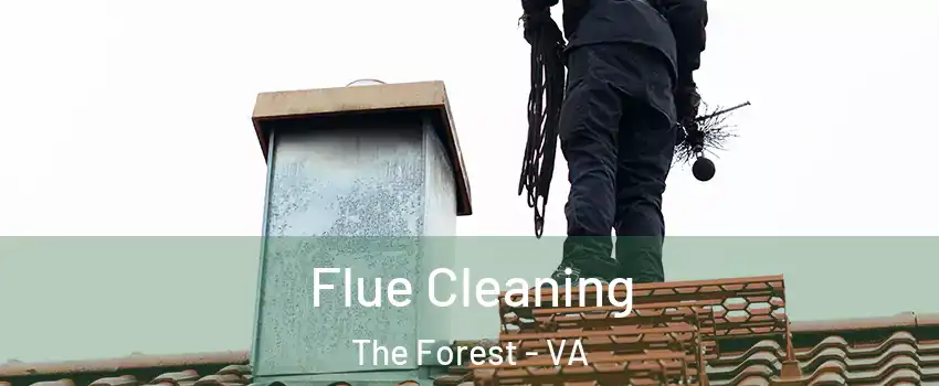 Flue Cleaning The Forest - VA