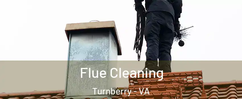 Flue Cleaning Turnberry - VA