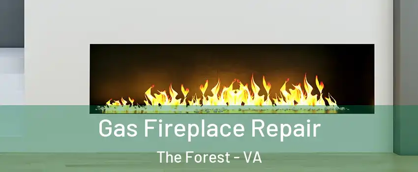 Gas Fireplace Repair The Forest - VA