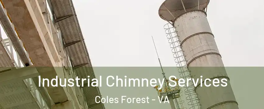 Industrial Chimney Services Coles Forest - VA