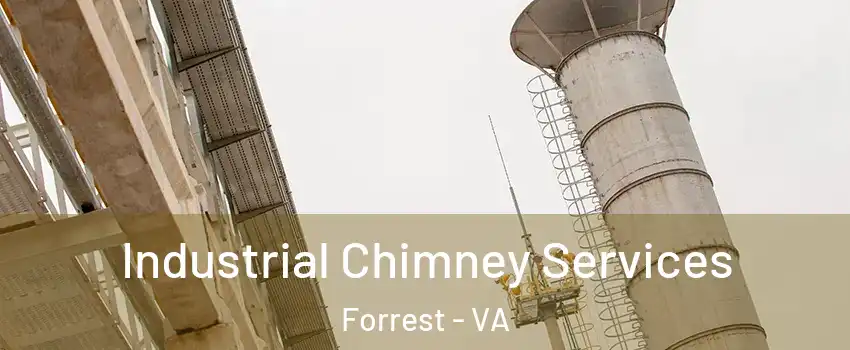 Industrial Chimney Services Forrest - VA