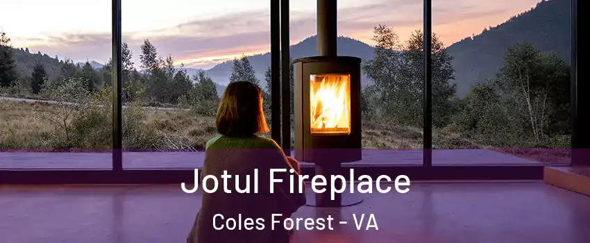 Jotul Fireplace Coles Forest - VA