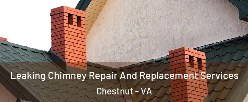 Leaking Chimney Repair And Replacement Services Chestnut - VA