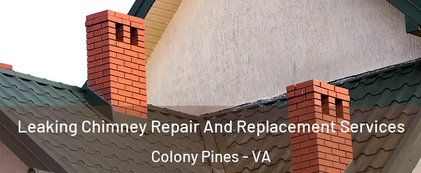 Leaking Chimney Repair And Replacement Services Colony Pines - VA