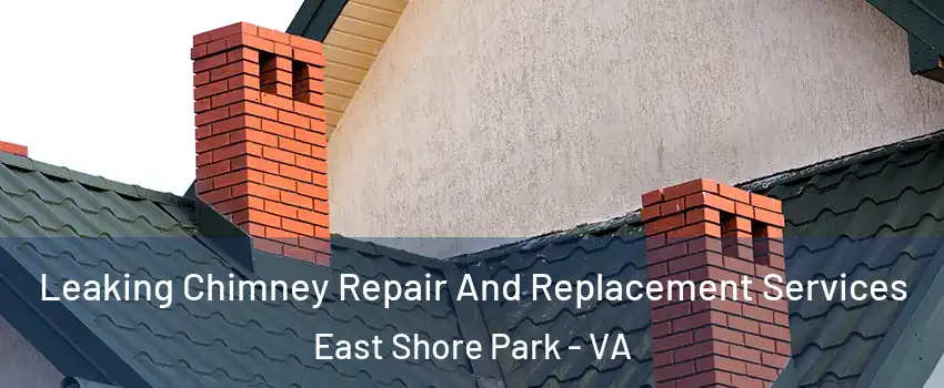 Leaking Chimney Repair And Replacement Services East Shore Park - VA