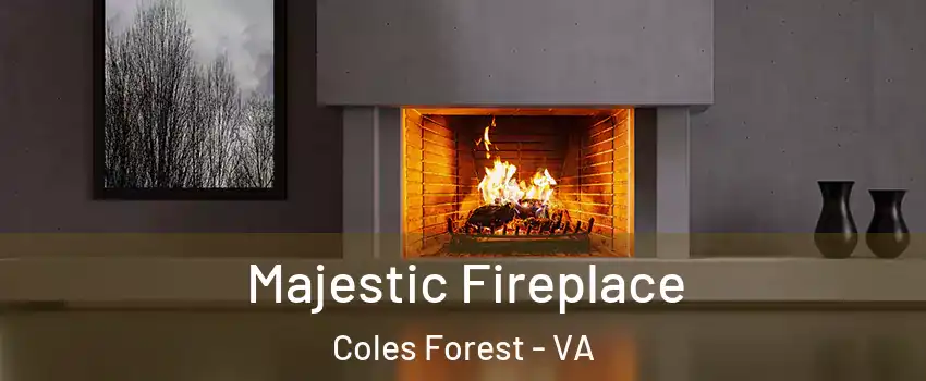 Majestic Fireplace Coles Forest - VA