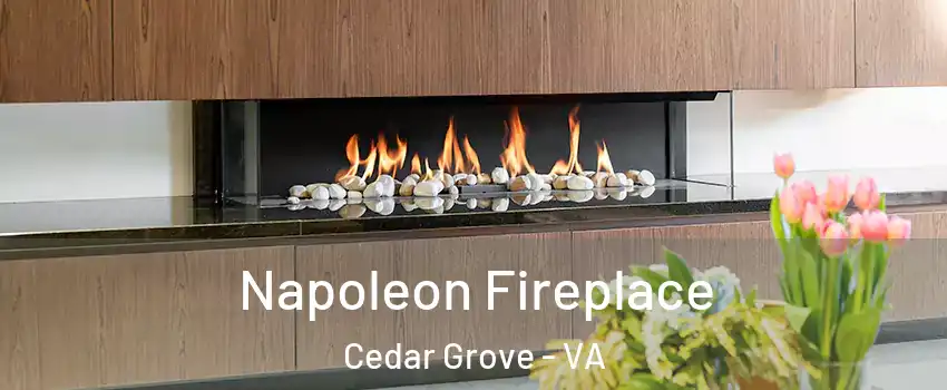 Napoleon Fireplace Cedar Grove - VA