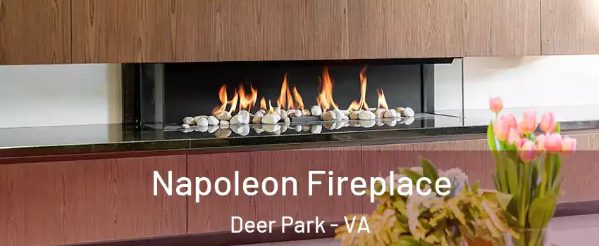 Napoleon Fireplace Deer Park - VA