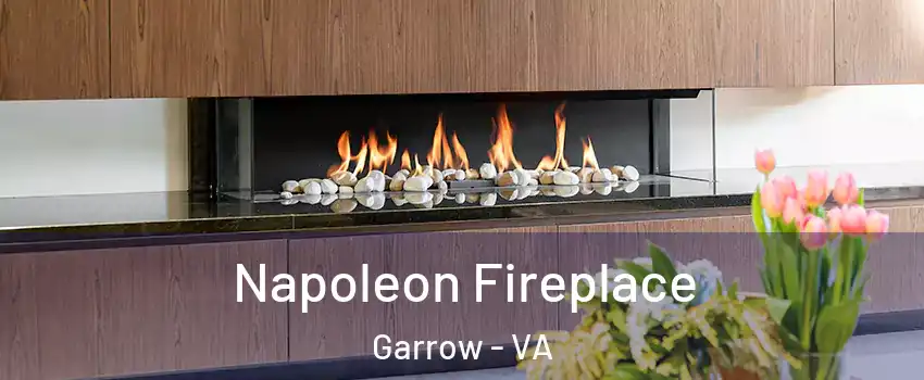 Napoleon Fireplace Garrow - VA