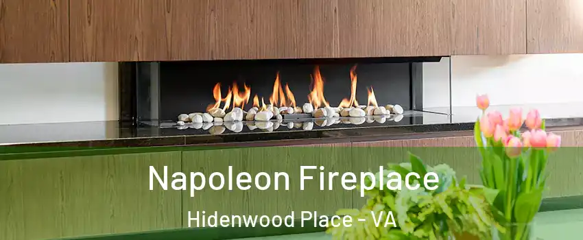 Napoleon Fireplace Hidenwood Place - VA