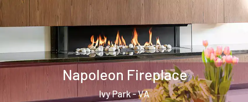 Napoleon Fireplace Ivy Park - VA