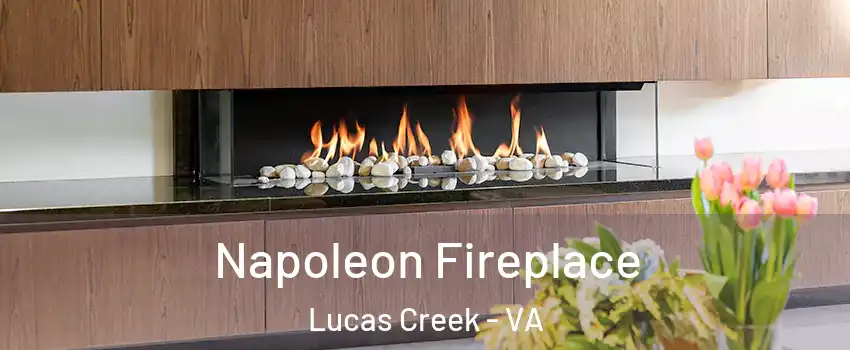 Napoleon Fireplace Lucas Creek - VA