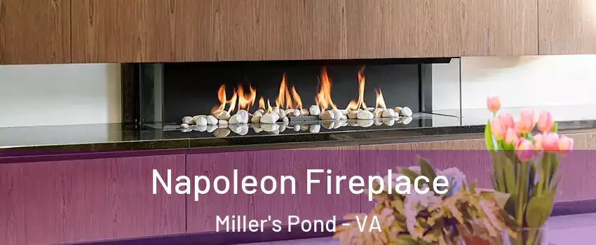 Napoleon Fireplace Miller's Pond - VA