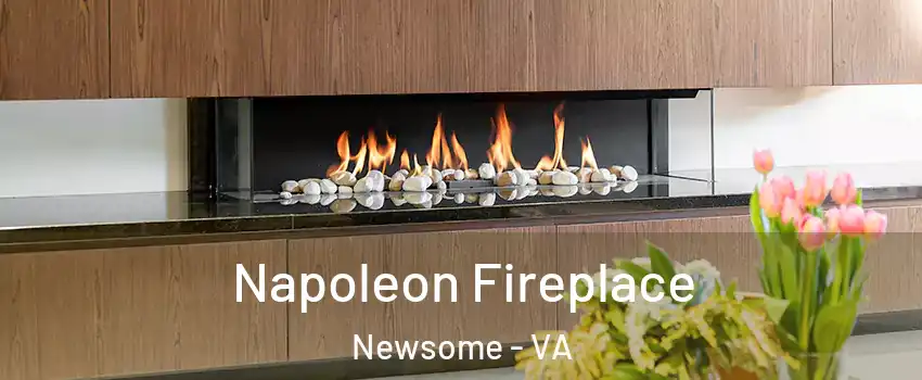 Napoleon Fireplace Newsome - VA