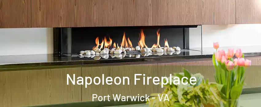 Napoleon Fireplace Port Warwick - VA