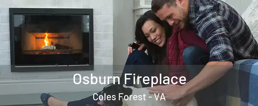 Osburn Fireplace Coles Forest - VA