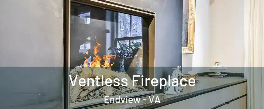 Ventless Fireplace Endview - VA