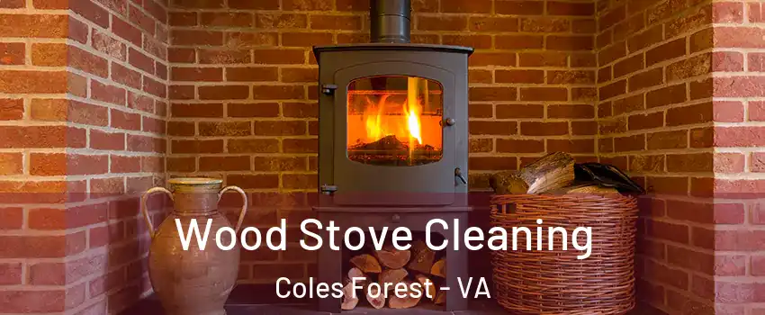 Wood Stove Cleaning Coles Forest - VA