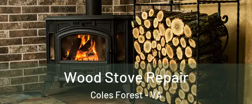 Wood Stove Repair Coles Forest - VA